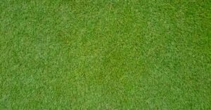 Bermuda grass sod in Covington, Mandeville, Madisonville, Noth shore, Hammond, La Louisiana