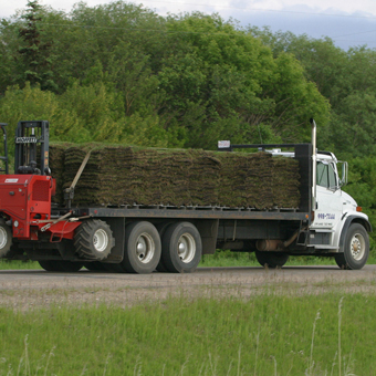 grass sod delivery in Louisiana and Mississippi