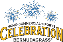 Celebration Bermuda grass sod