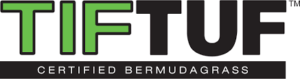 TifTuf Bermuda grass