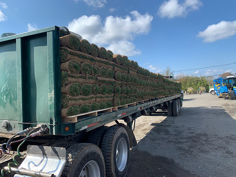 Covington Sod delivery truck loaded with fresh-cut pallets bound for Covington